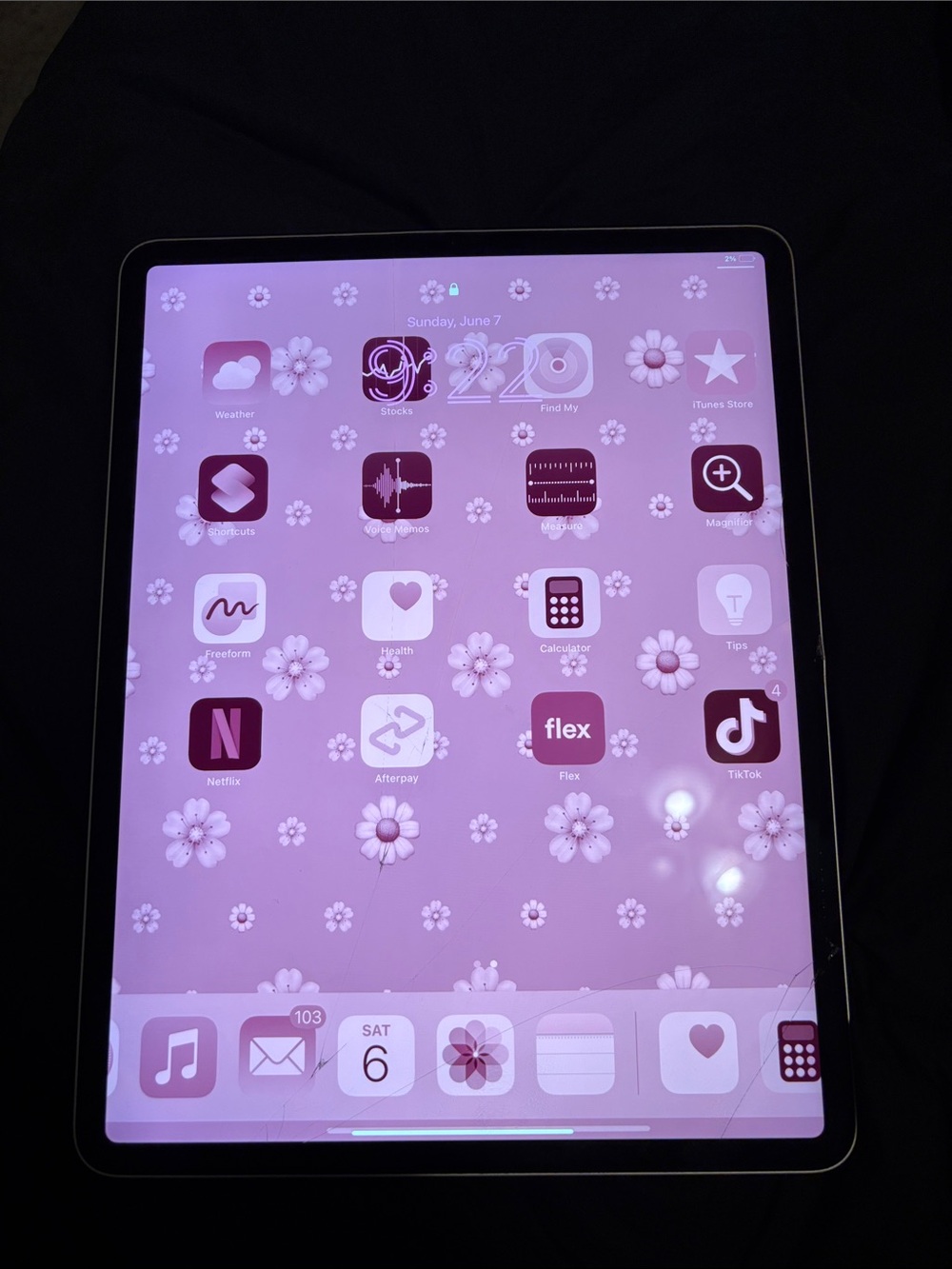 Apple iPad Tablet - Pink Home Screen